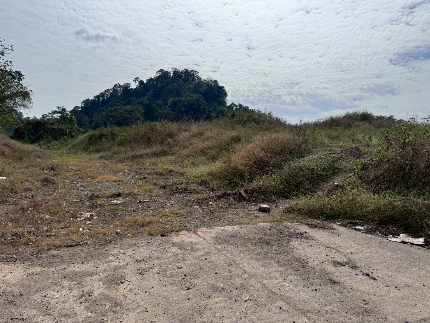 フィリピンの風景